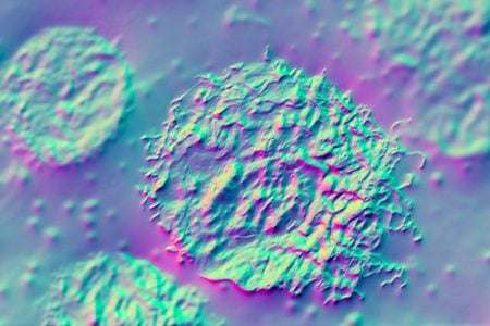 microscope view of cells