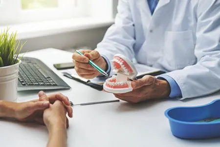 doctor holding a tooth model 